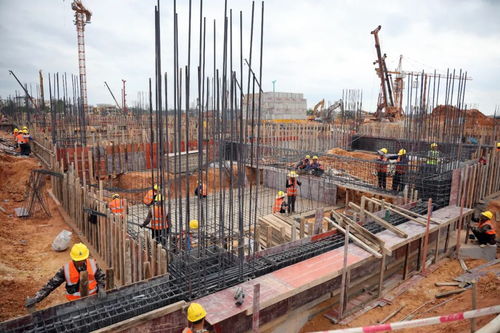 香雪制药临空经济区项目加足马力全力推进项目建设